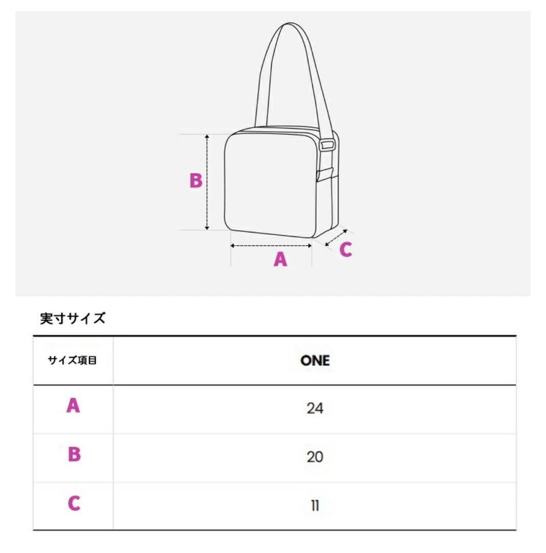 THE NORTH FACE コーデュロイ ショルダーバッグ ブラウン トート