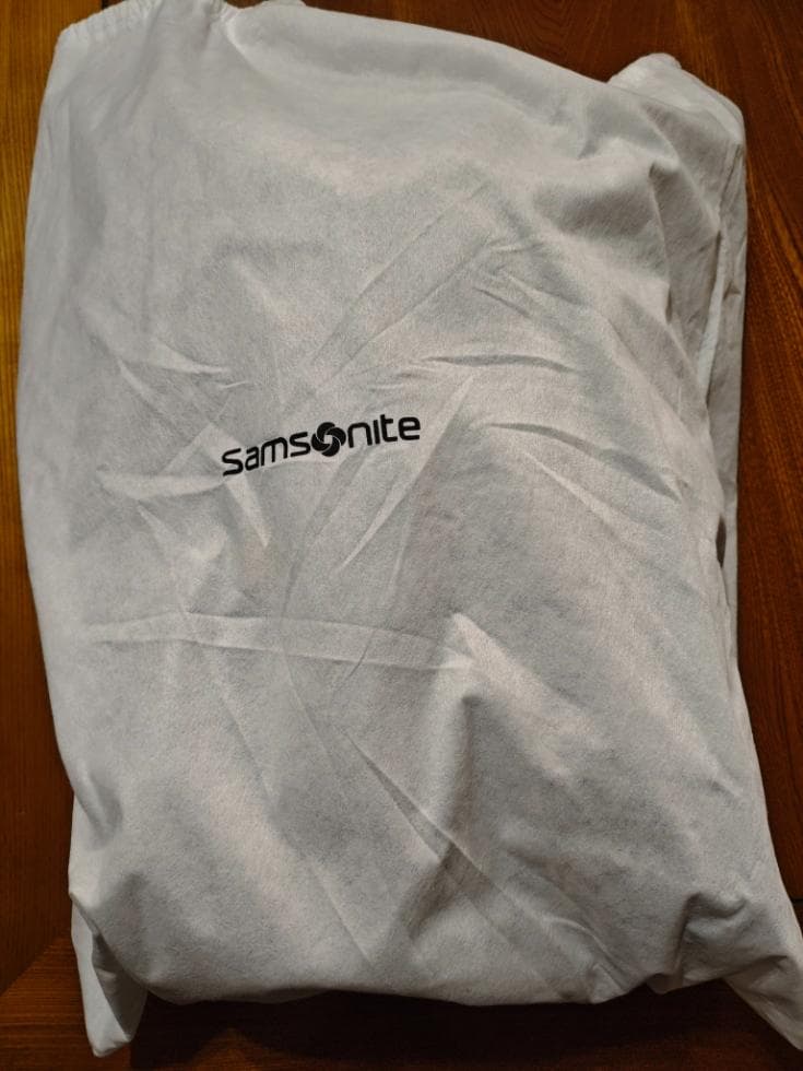 サムソナイト バックパック(リュック) LITE-GEO 0.5kg 約21L