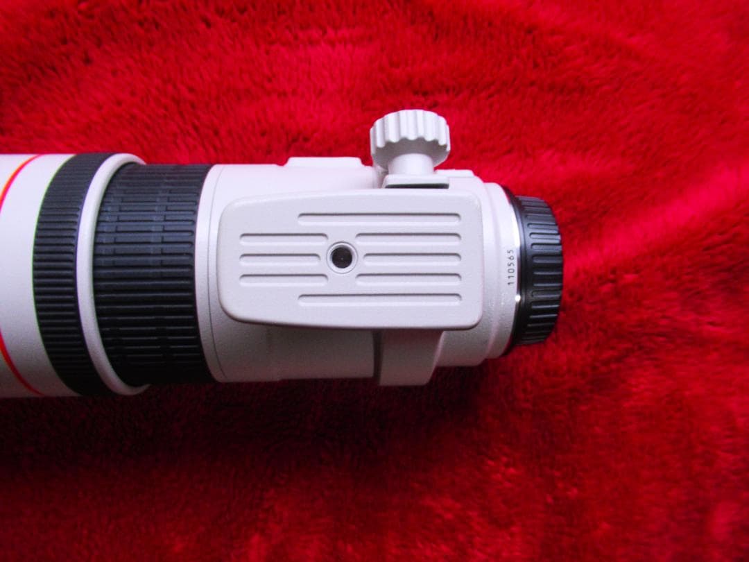 キャノン EF300mm F/4L IS USM (EFレンズ単焦点）