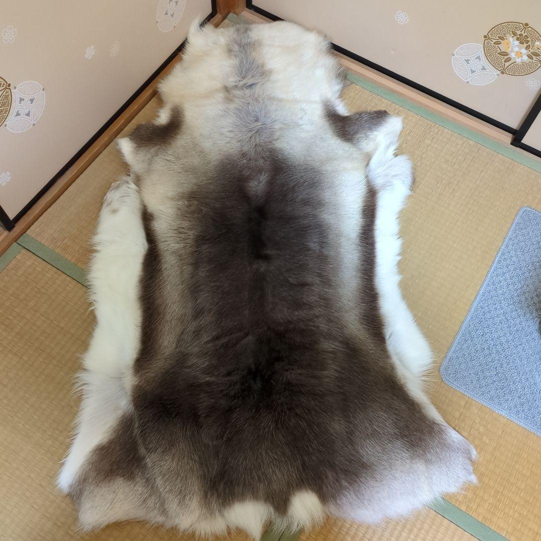 格安☆美品☆トナカイ一頭分の毛皮☆ 特大ラグマット