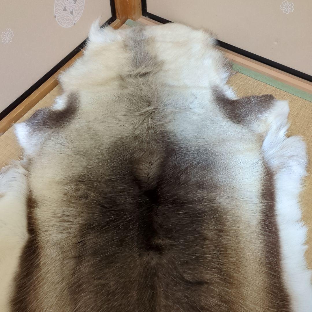 格安☆美品☆トナカイ一頭分の毛皮☆ 特大ラグマット