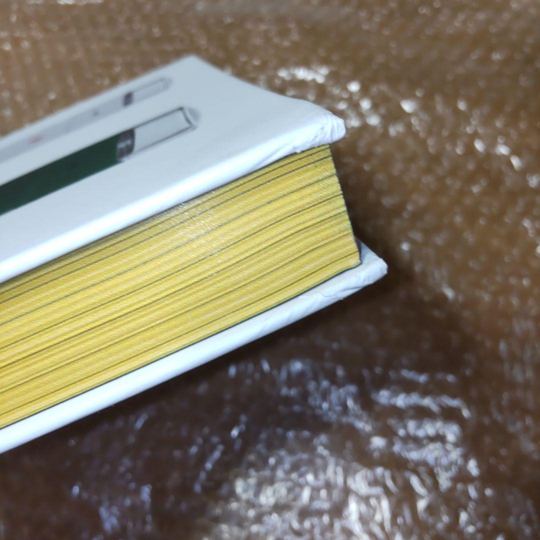 BRAUN 100 ベルリン ブレーハン美術館 図録