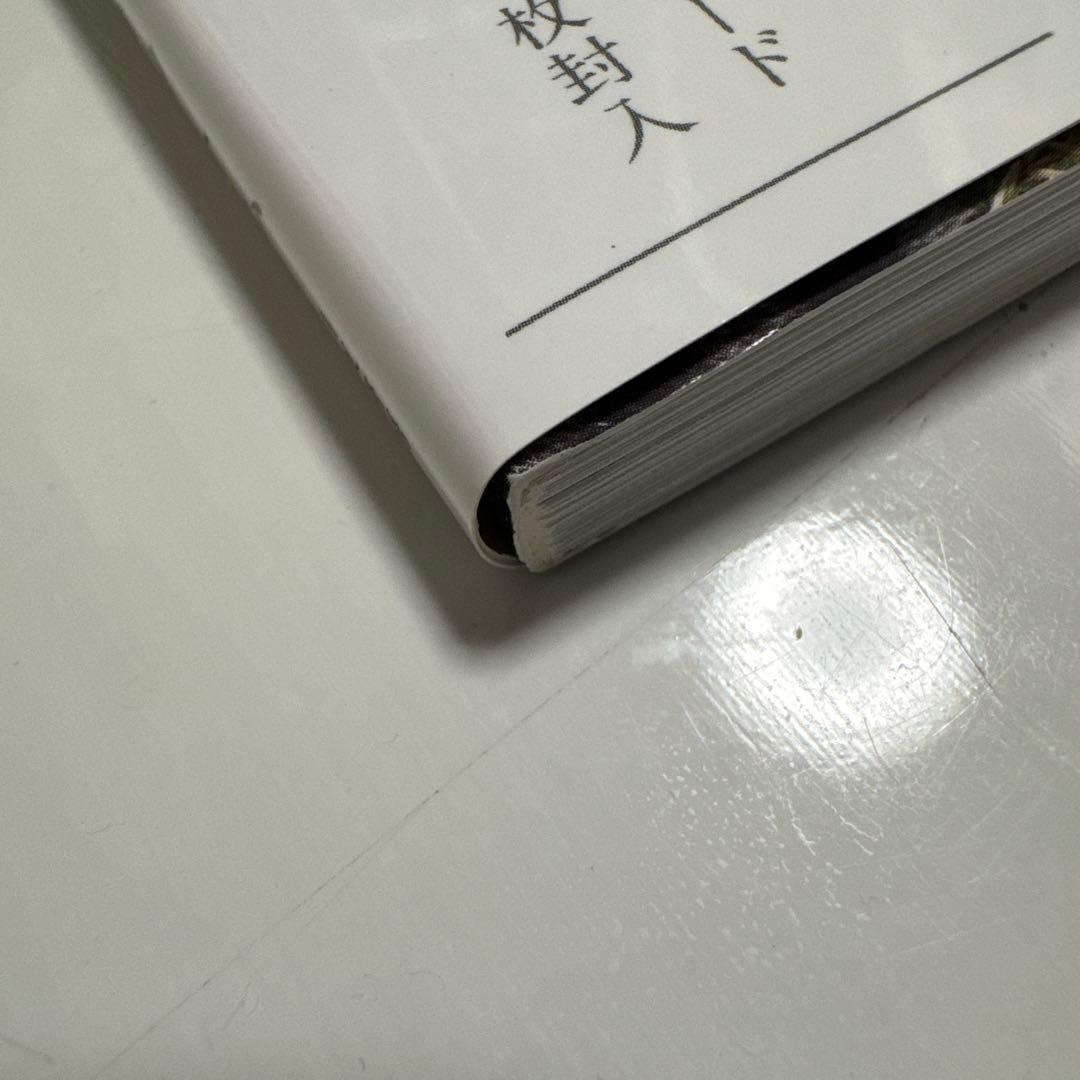 【ポストカード付き】＝LOVE 君にしか教えない　野口衣織　ファースト写真集