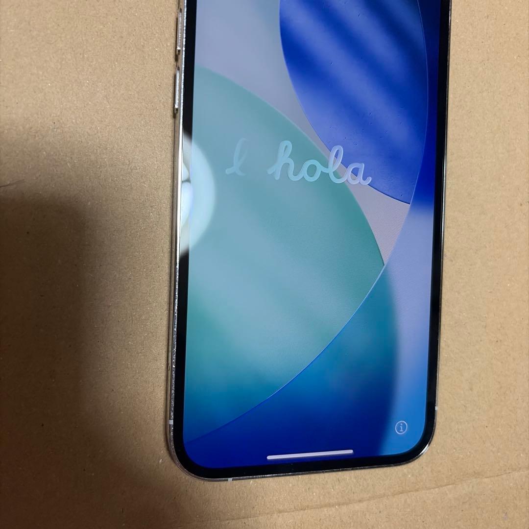 Apple iPhone 12Pro シルバー 本体