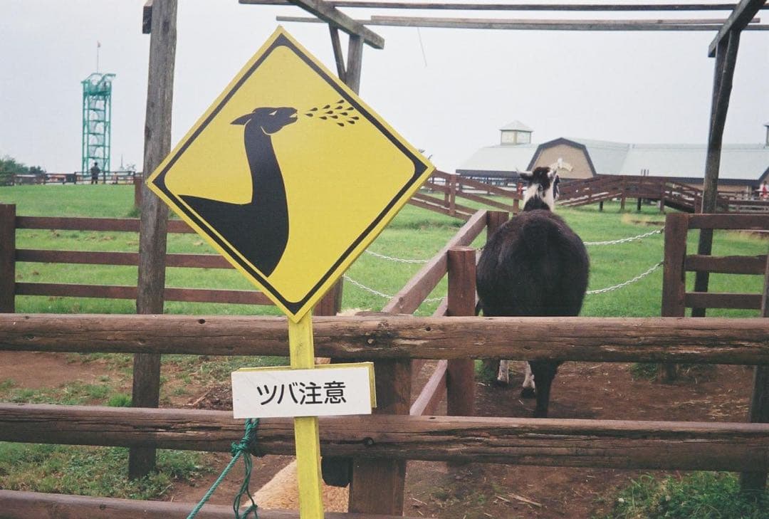 【プロフ読んでください】　12/1