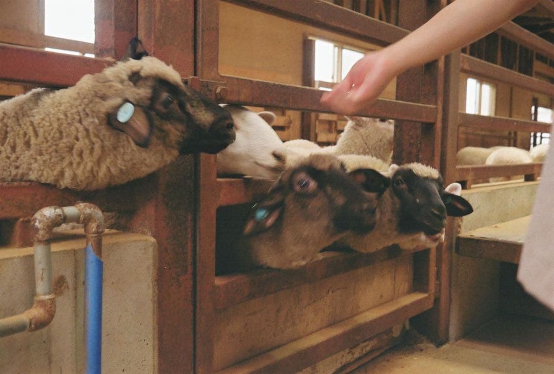 【プロフ読んでください】　12/1