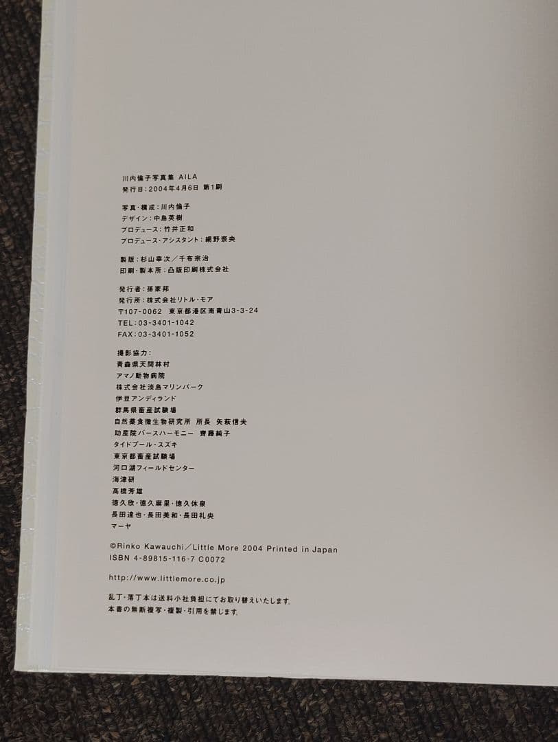 アート・デザイン・音楽 AILA Rinko Kawauchi LITTLE MORE