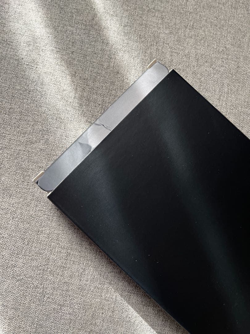 BOOX Palma 本体　ケース2種類付、保護シート貼付済