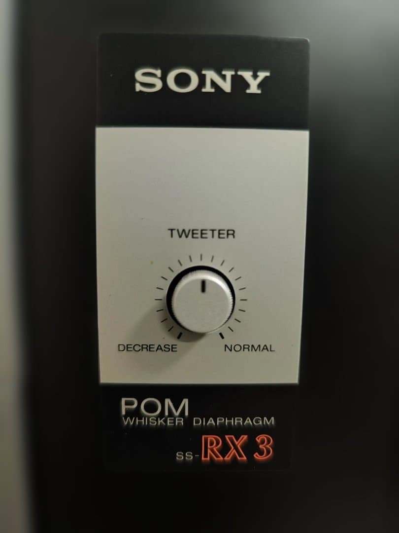 希少　SONY SS-RX3 スピーカー　②