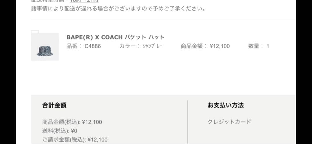 コーチとBAPEコラボバケットハット　M