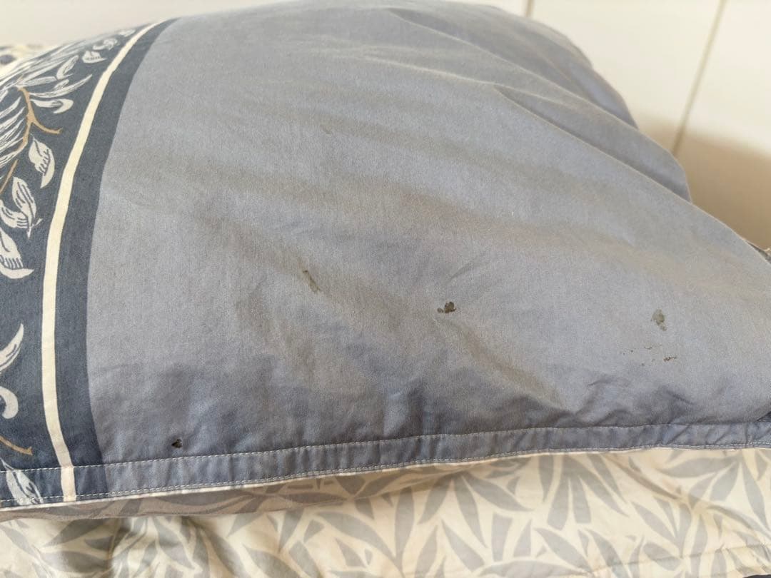 東京西川　高級羽毛 QUEENDOWN Excellent sanderson