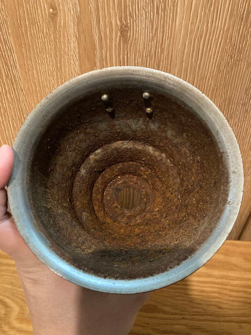 鉄鉢 Ｍ&Ｍ Masses マシス type5 アガベ チタノタ 塊根