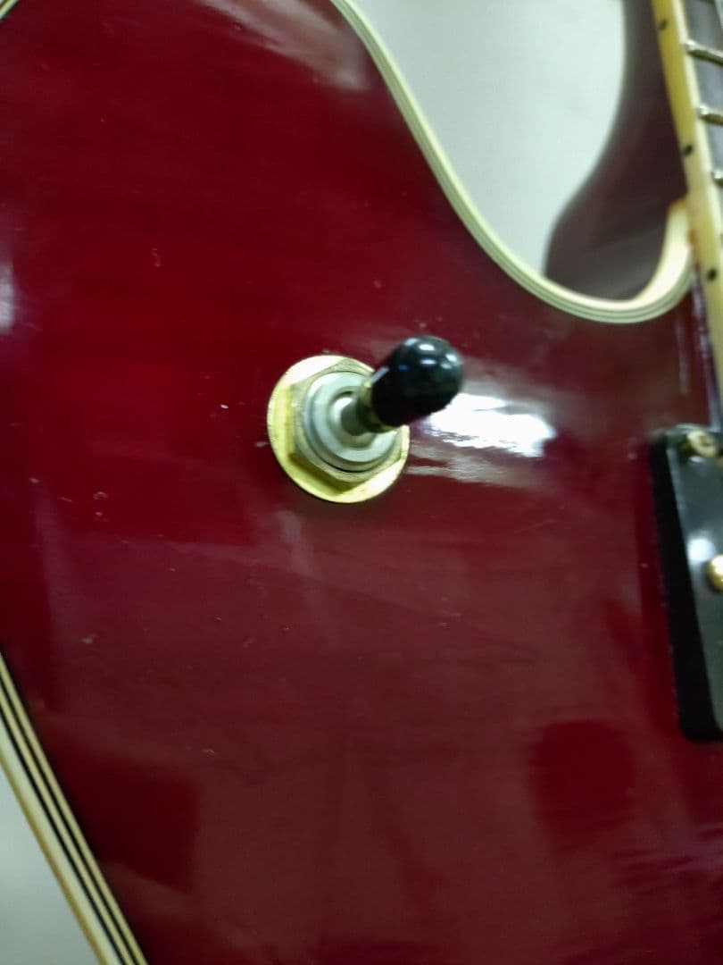 プレイテック SA500 セミアコ