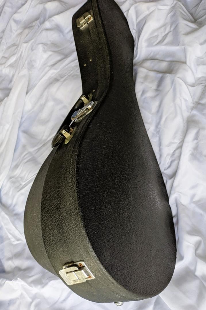 ✨SUZUKI M-30 木製 8弦マンドリン 本体 ＋ 専用ハードケース付き✨