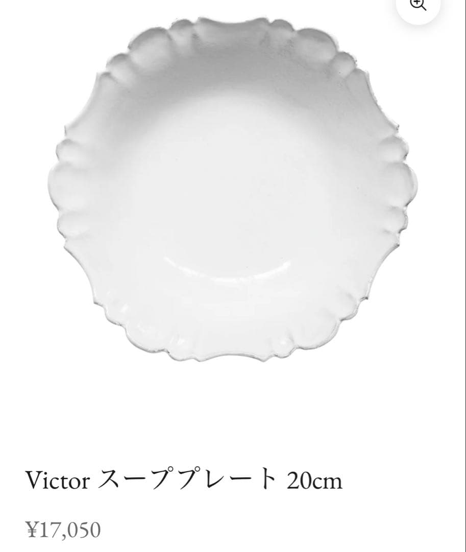 【金継ぎに】【おまけ付】Astierアスティエ/victor深皿プレート