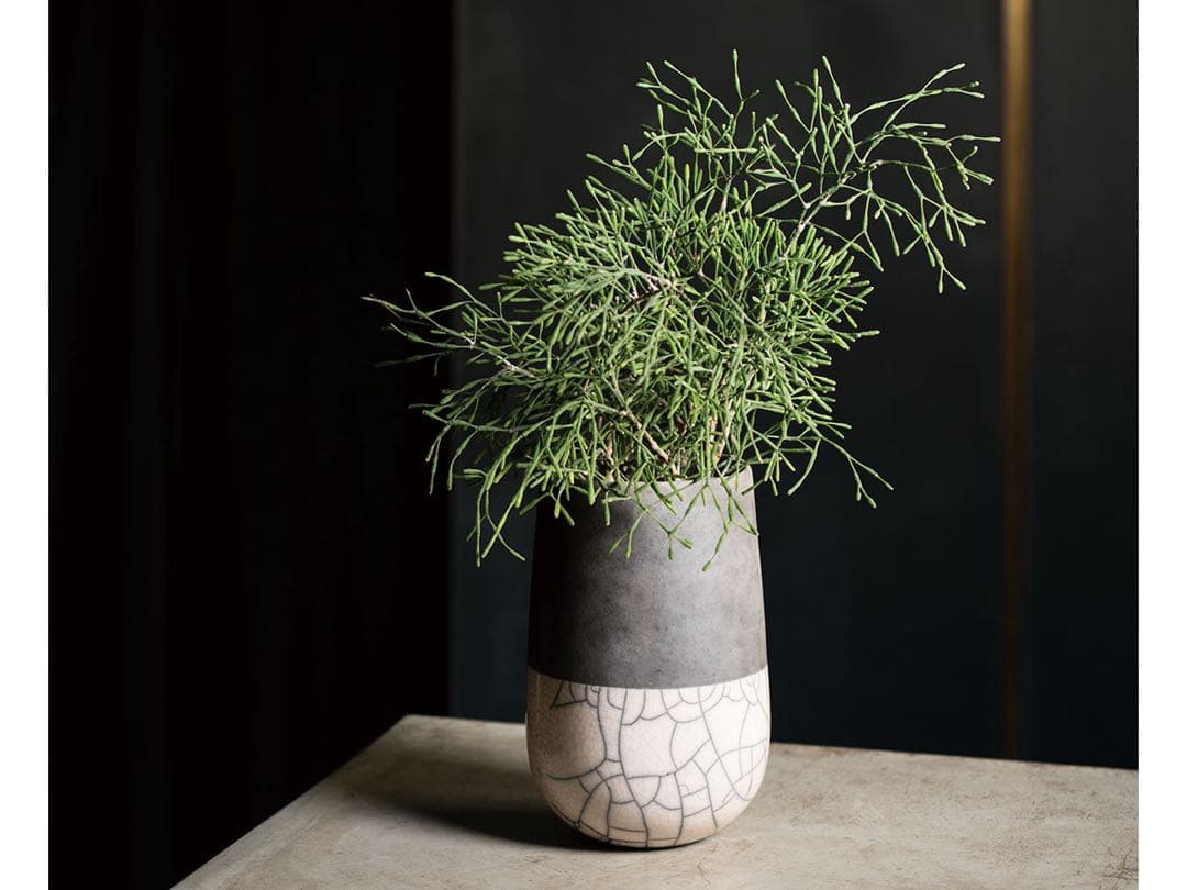 DOMANI MINSK パールホワイト　TMVH31