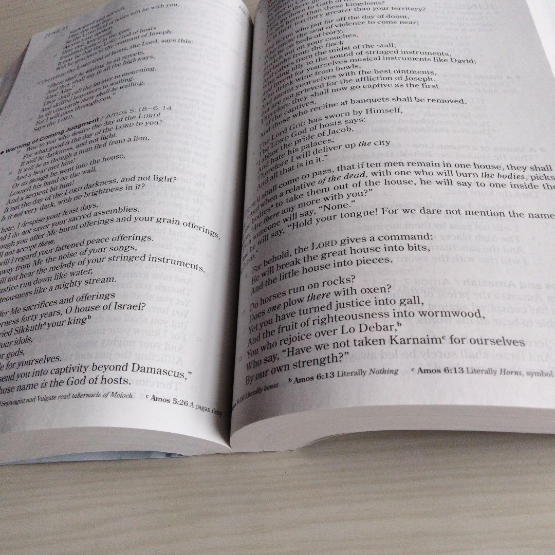 洋書 CHRONOLOGICAL BIBLE