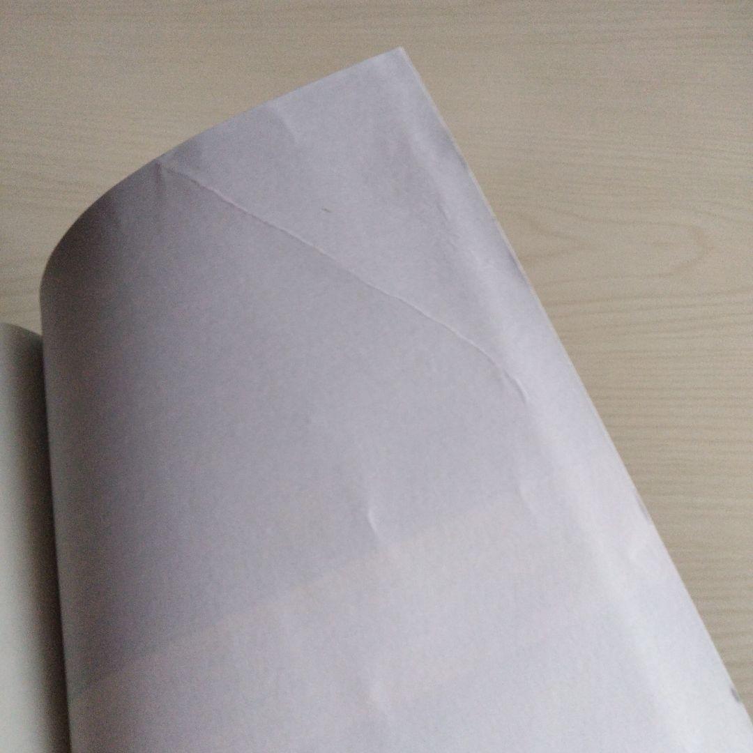 洋書 CHRONOLOGICAL BIBLE