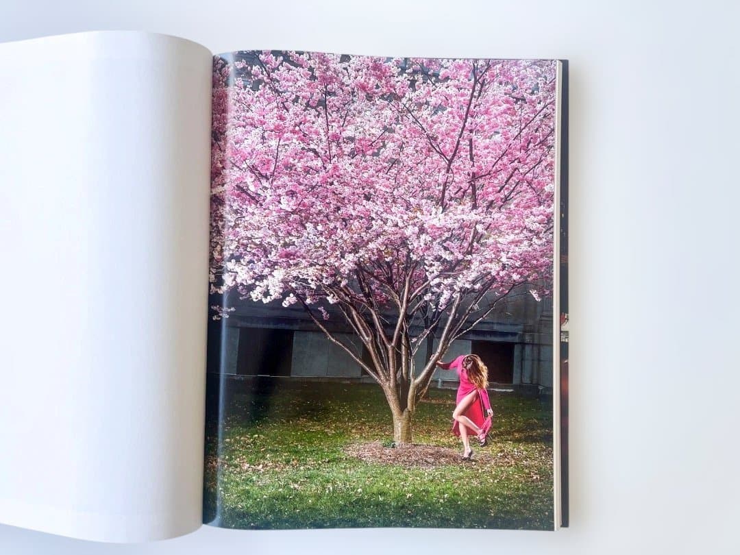 アート・デザイン・音楽 David Drebin Beautiful Disasters