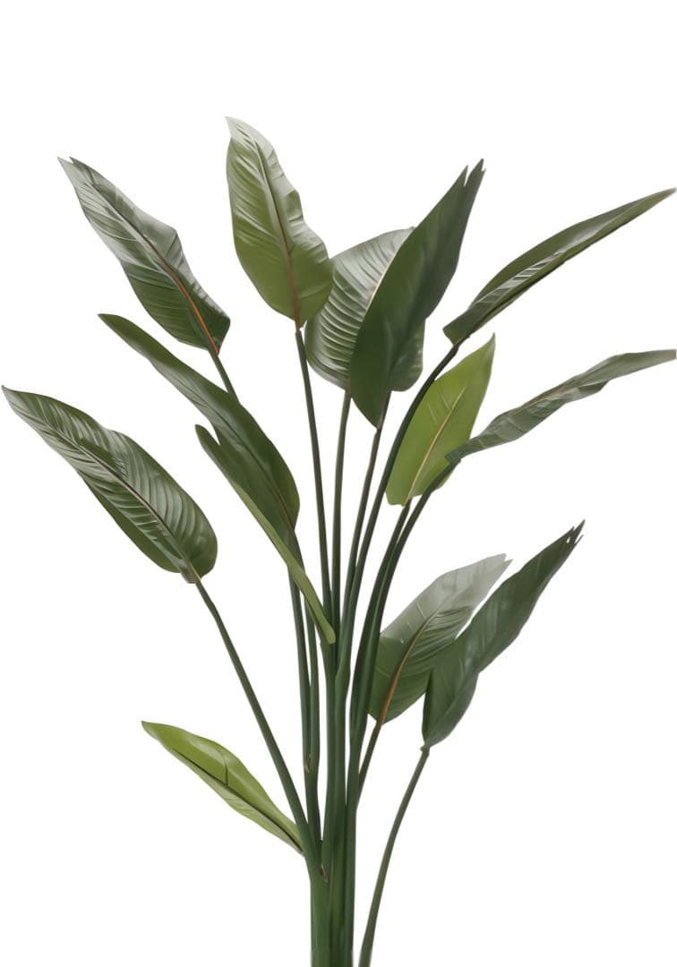 光触媒　人工観葉植物　ウォールグリーン　フェイクグリーン　ストレチア1.6m