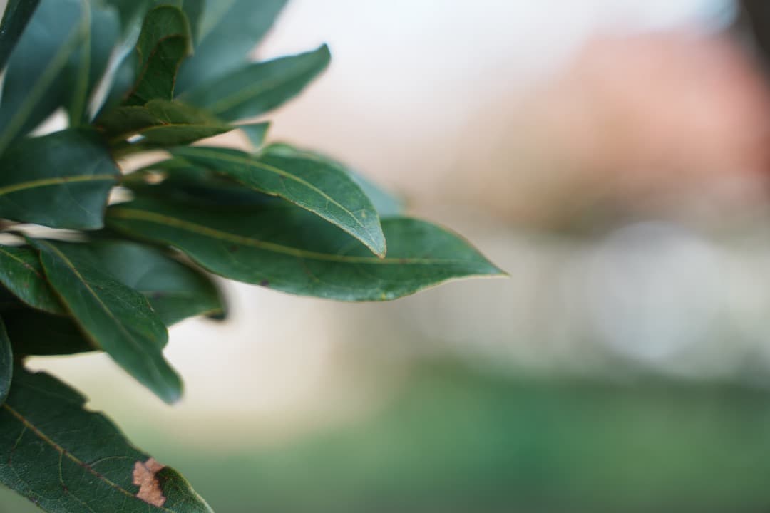 【美品】Tamron 28-75mm F2.8 Di III RXD ソニーE用