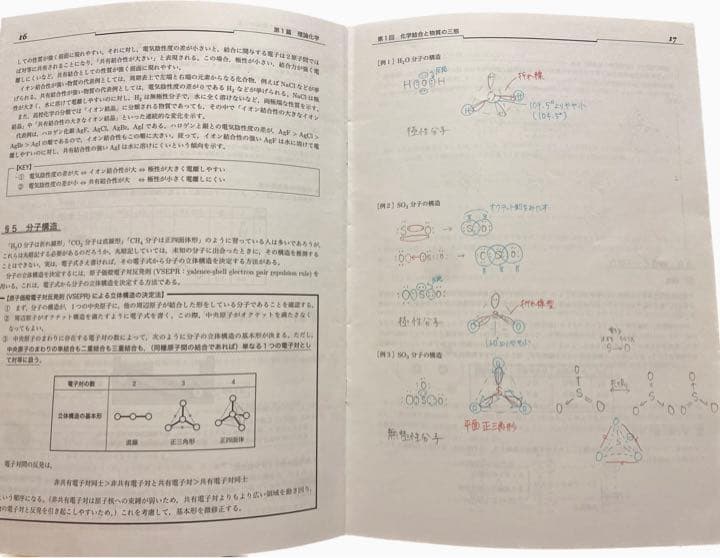 【非売品】鉄緑会 高３化学 授業冊子 寺田先生