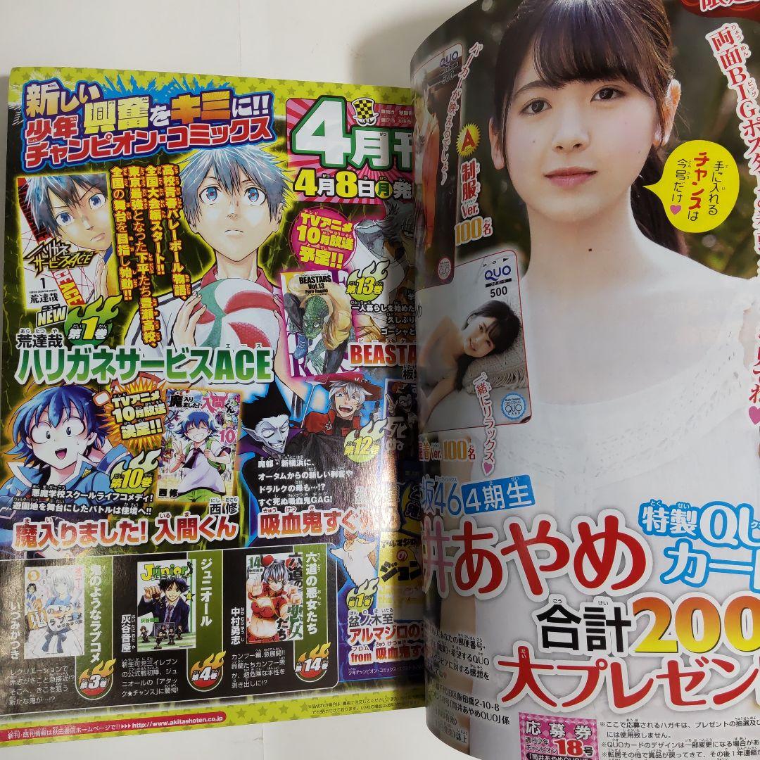 筒井あやめ 少年チャンピオン（新品）2685