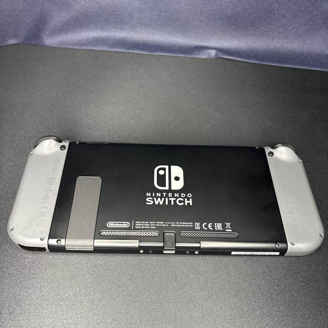 Nintendo Switch 本体 グレー（2019年購入）