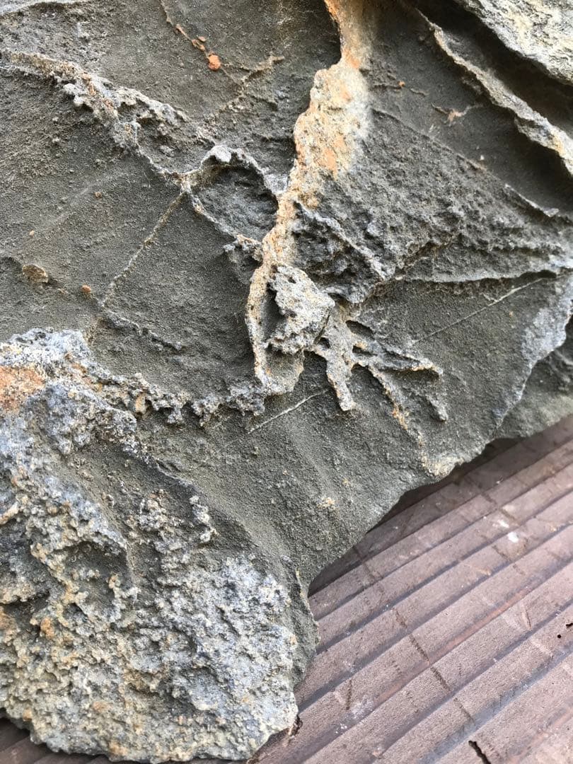 【水石】銘石 加茂川『古道真黒石』