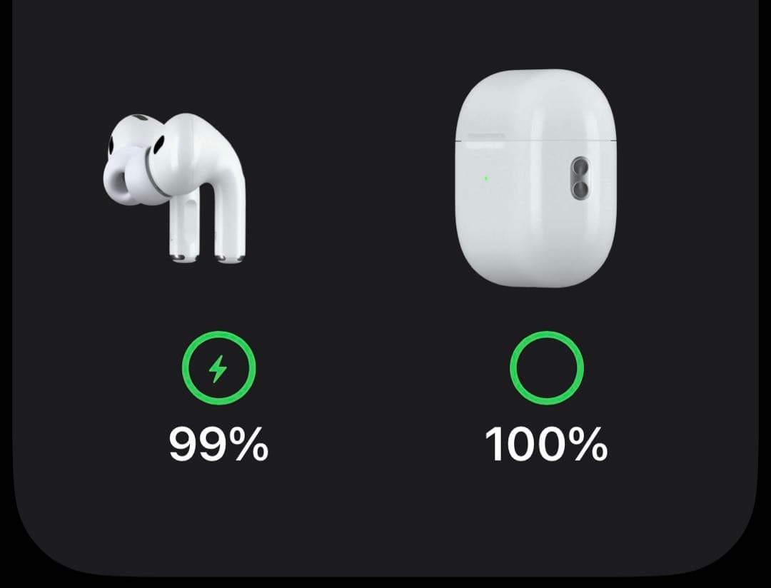 純正AirPods Pro 第2世代 USB-C A3048 PITAKAケース