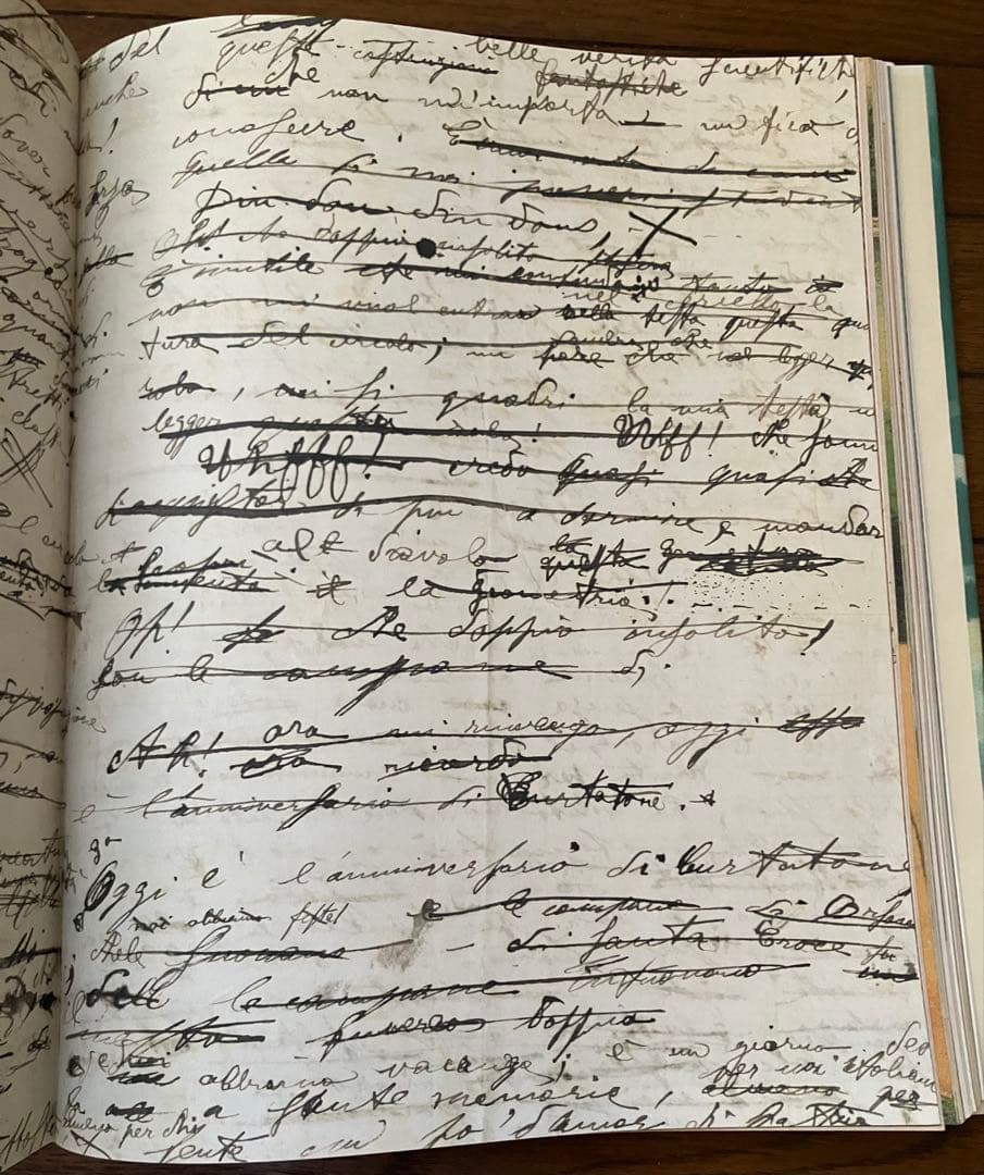 ジョンデリアン ピクチャーブック