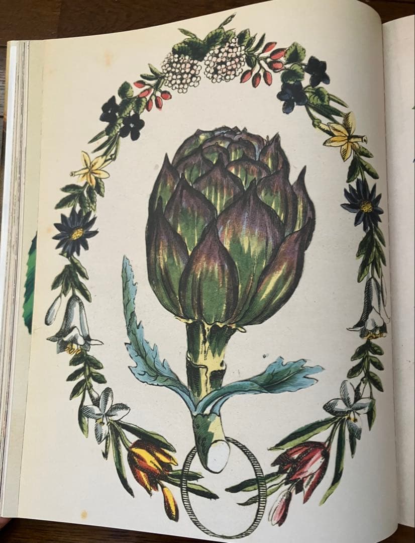 ジョンデリアン ピクチャーブック