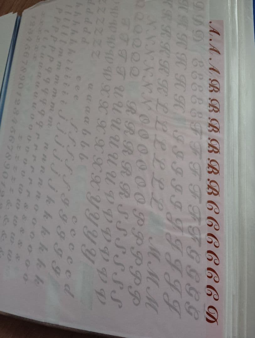 【サロン閉店】ポーセラーツ転写紙　柄　全てセットでファイルごと