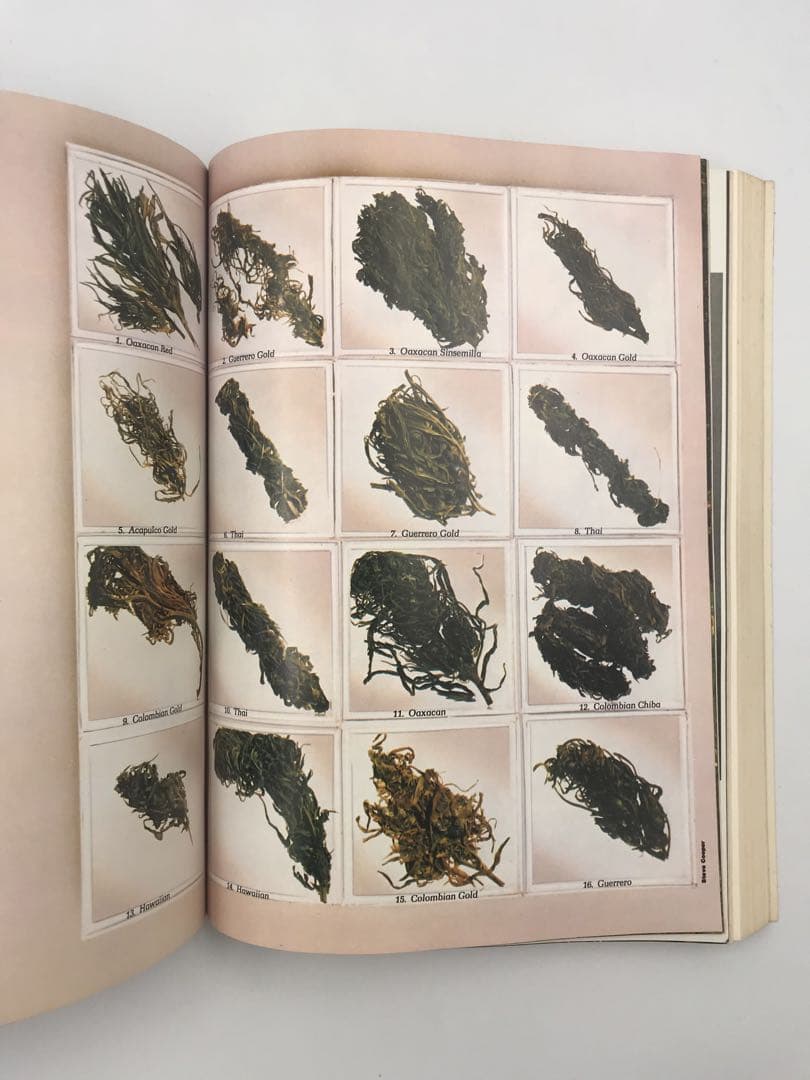 洋書 High Times Encyclopedia