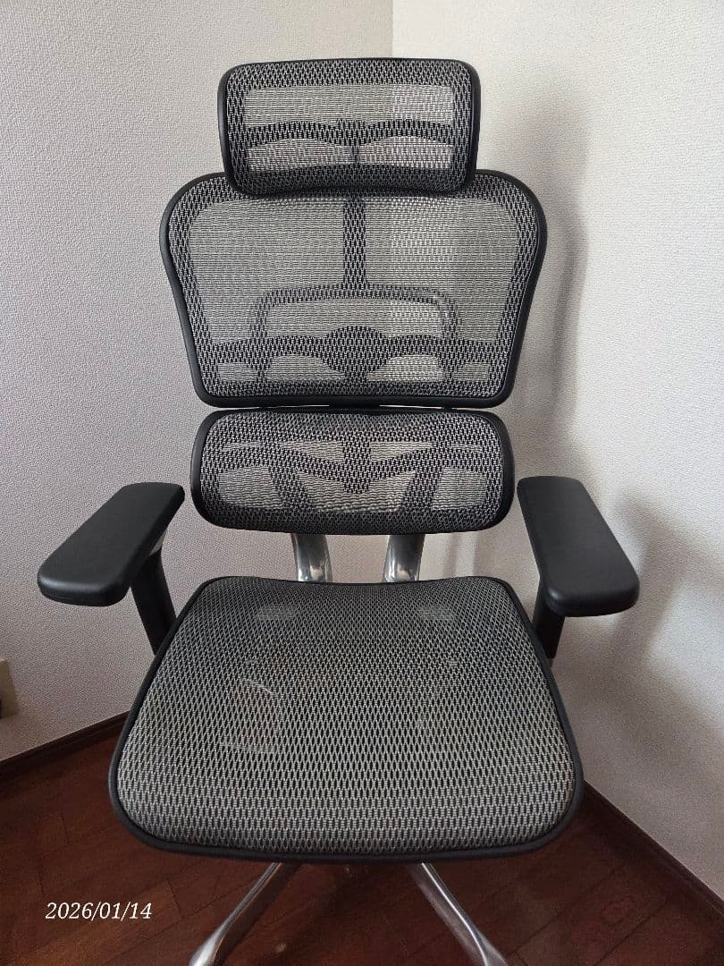 Ergohumanエルゴヒューマンプロハイタイプ/エラストメリックメッシュ GR