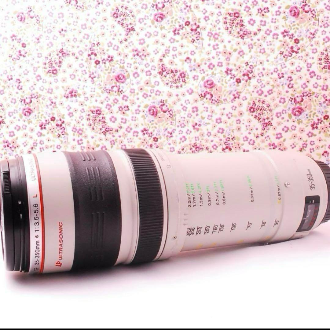 【光学美品】CANON EF 35-350mm 望遠ズームレンズ