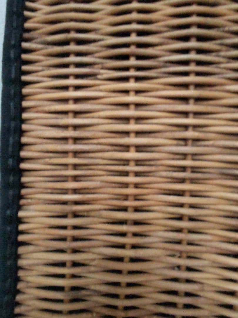 定価53900円 ebagos エバゴス 紙袋型バッグ カゴブクロ バッグ