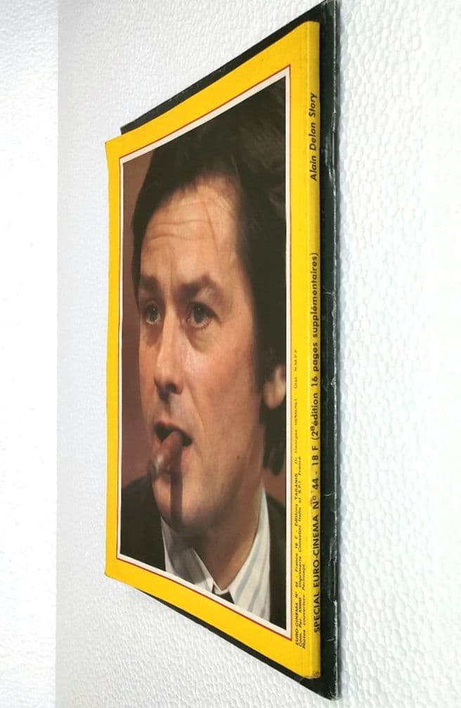 アラン・ドロンの本　２冊　フランス語