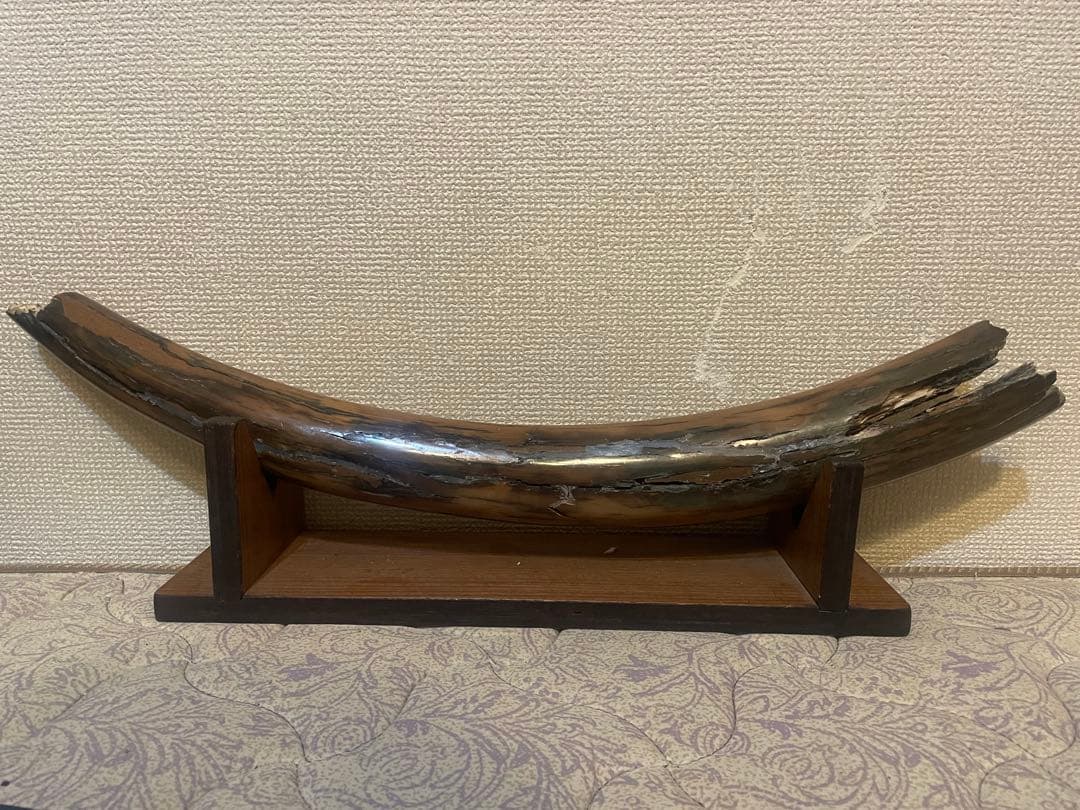 ★【実物】 大きなマンモスの牙 希少な一本モノ！ 美しい天然模様！