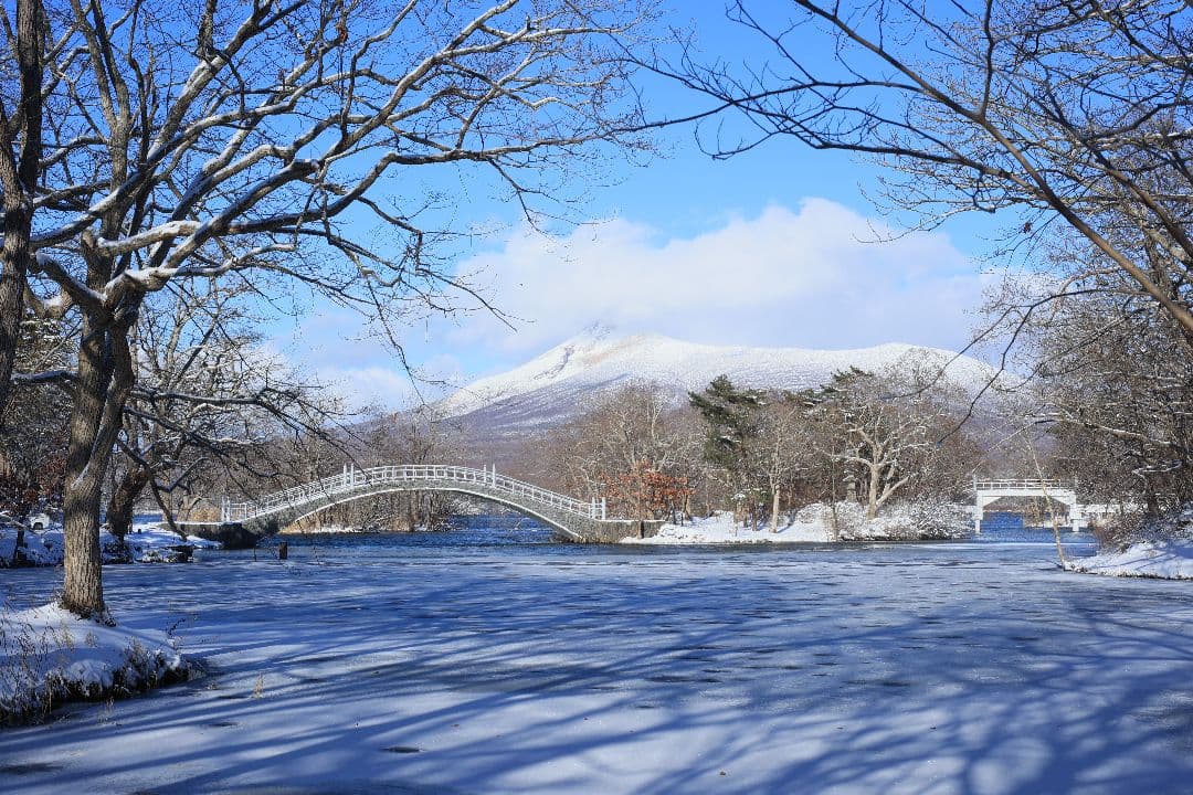 RICOH XR RIKENON 50mm F2 第一世代 【美品】