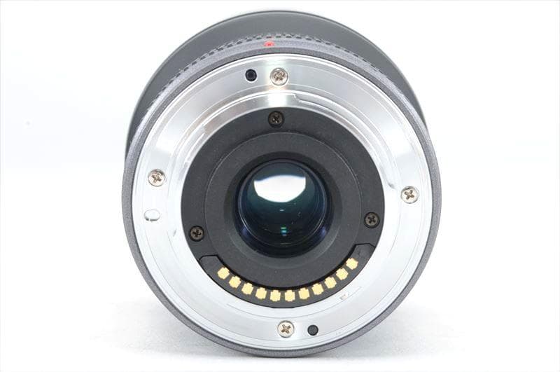 【超広角】 パナ LUMIX G VARIO 7-14mm F4