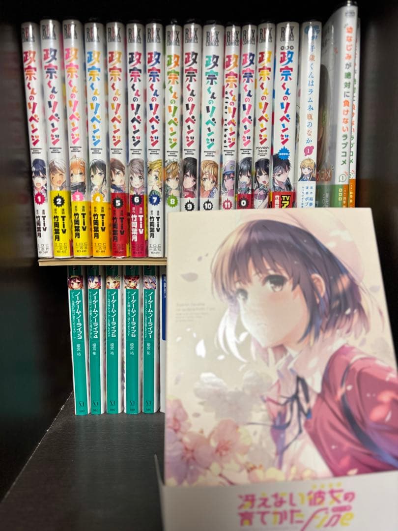 [1月13日までの限定出品]漫画ラノベ各種