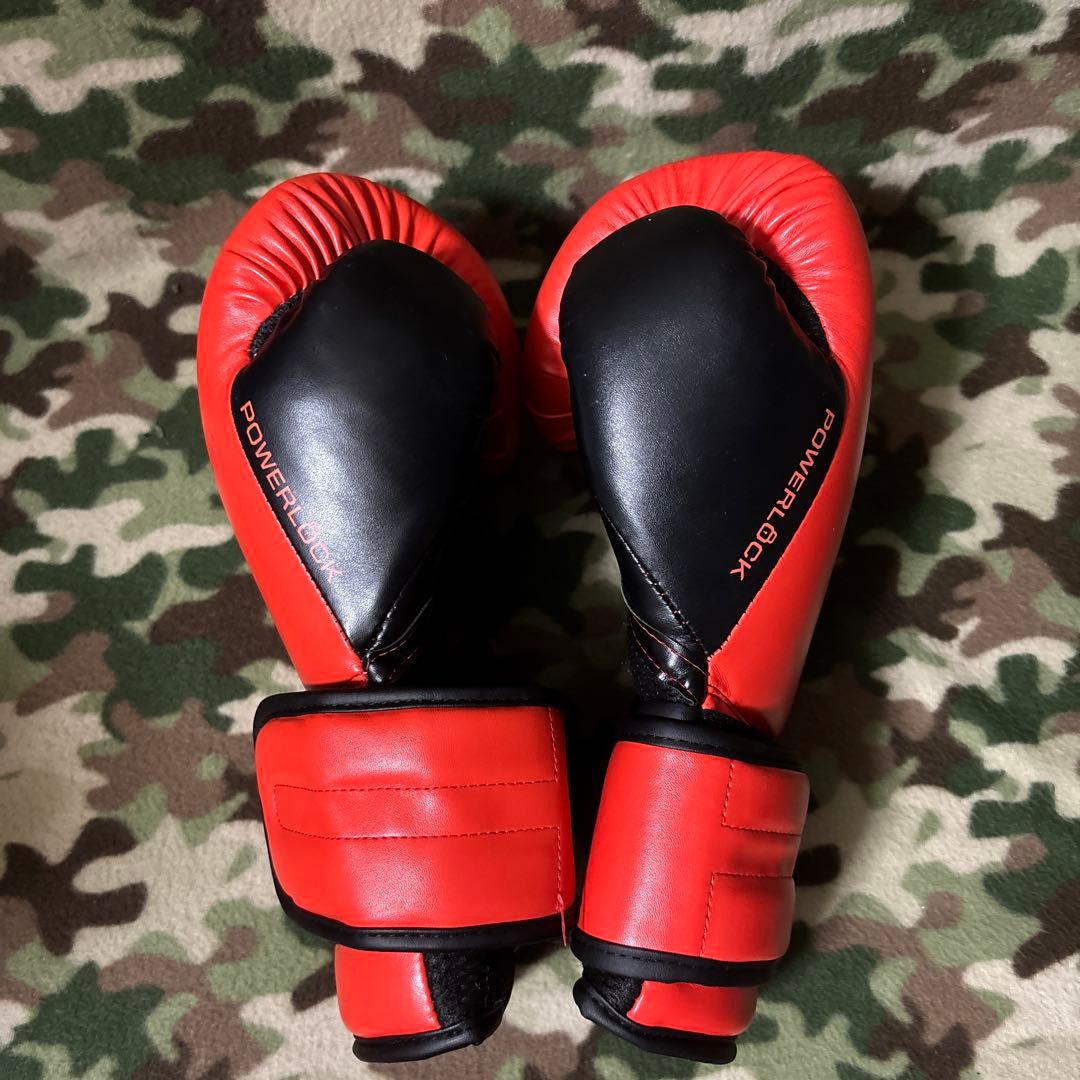 EVERLAST エバーラスト　グローブ　16oz 送料無料