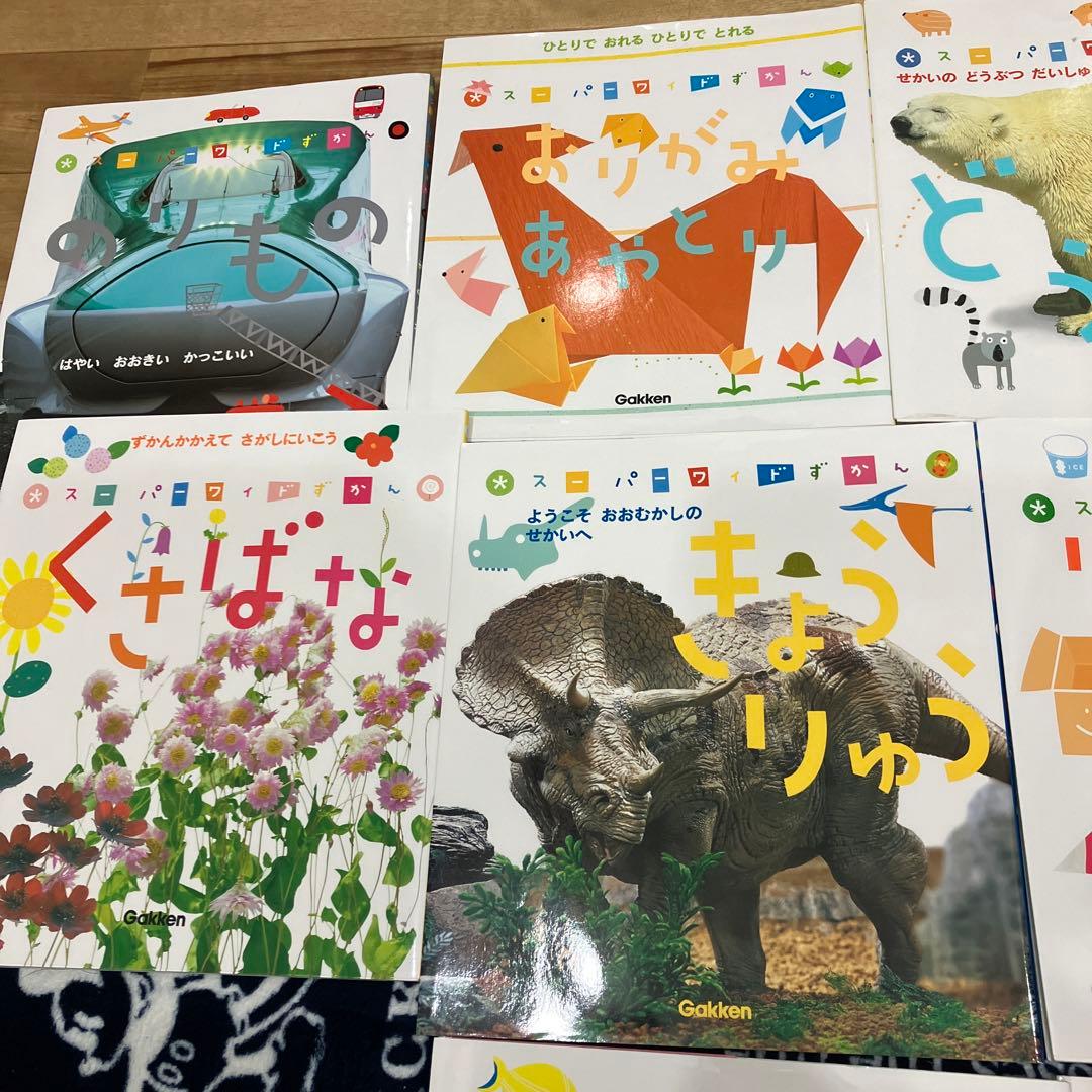 スーパーワイドずかん　　１２冊