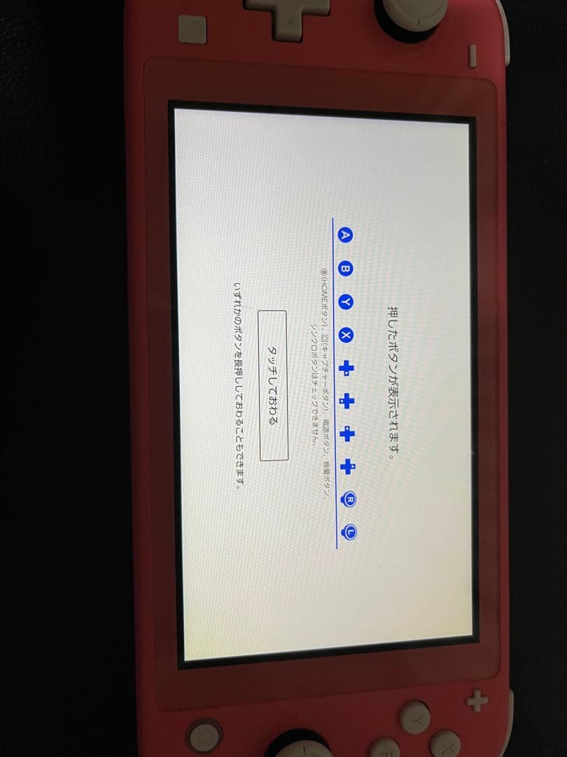 Switch Lite 中古