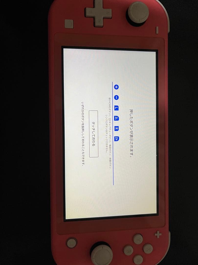 Switch Lite 中古