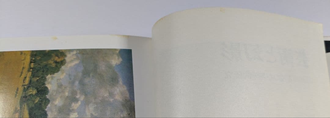 芸術と幻影　E．H．ゴンブリッチ著　瀬戸慶久訳