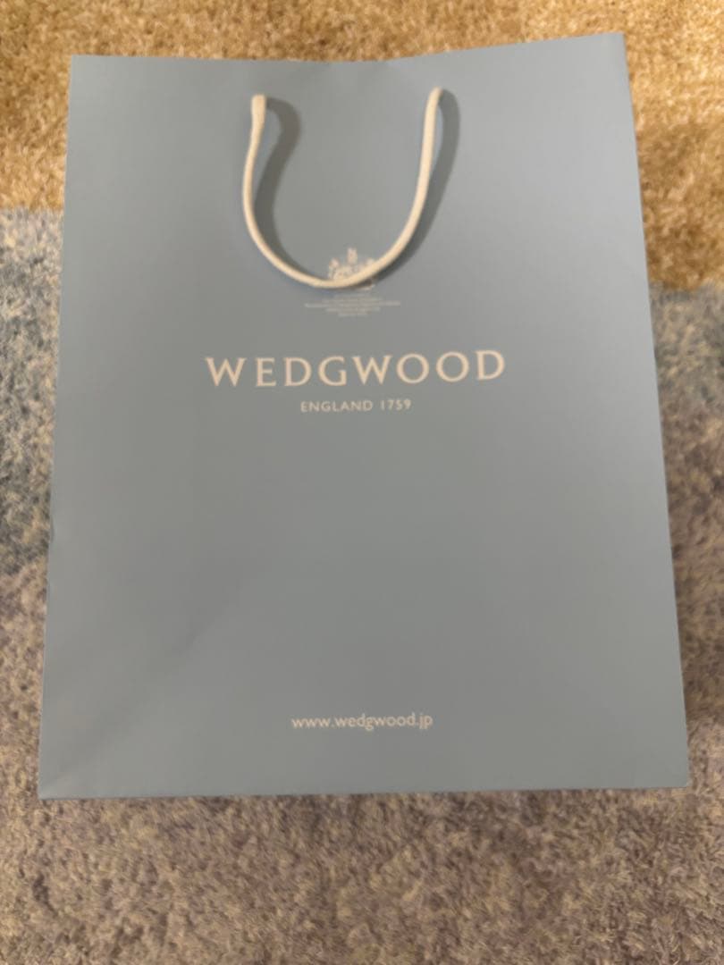  ワイルド ストロベリー プレート 23cm ペア　定1.8万円