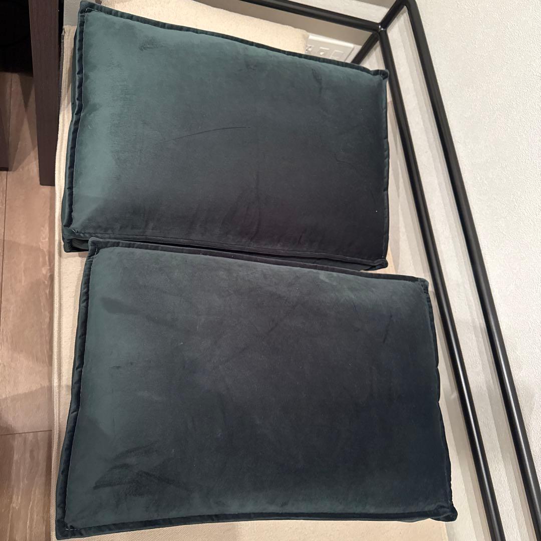 JOURNAL STANDARD FURNITURE ソファベッド クッション付