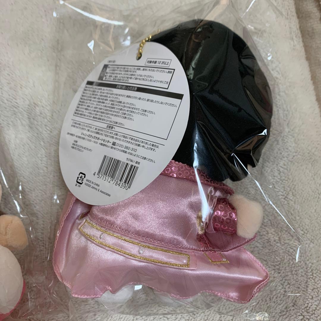 道枝駿佑　ちびぬい　第1弾　第2弾　初心LOVE アクスタ　公式写真　マスコット